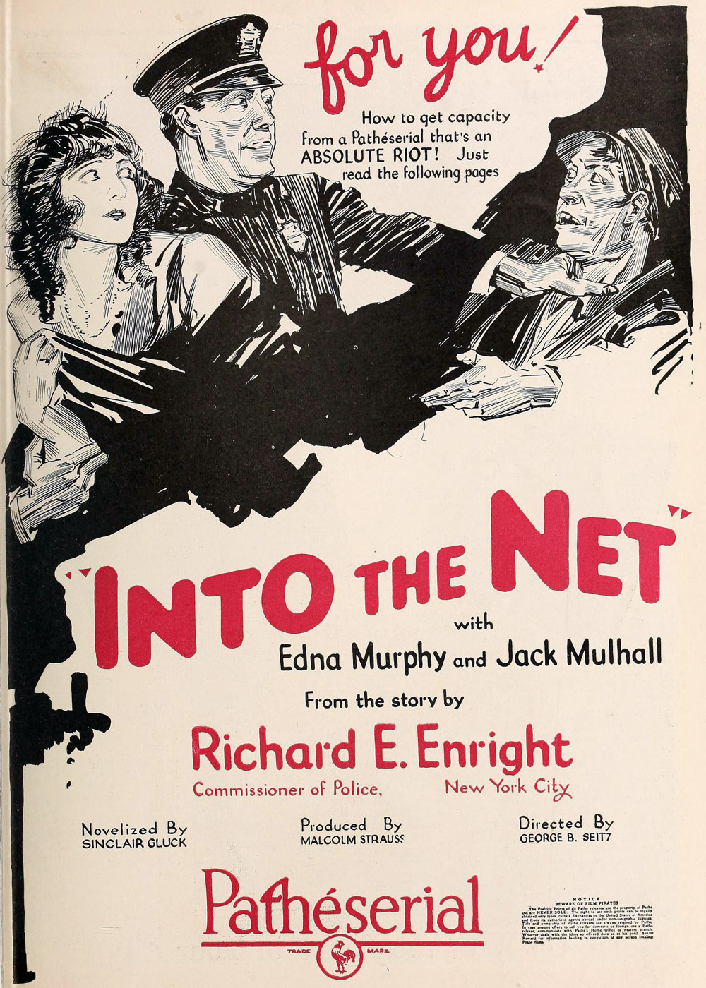 INTO THE NET